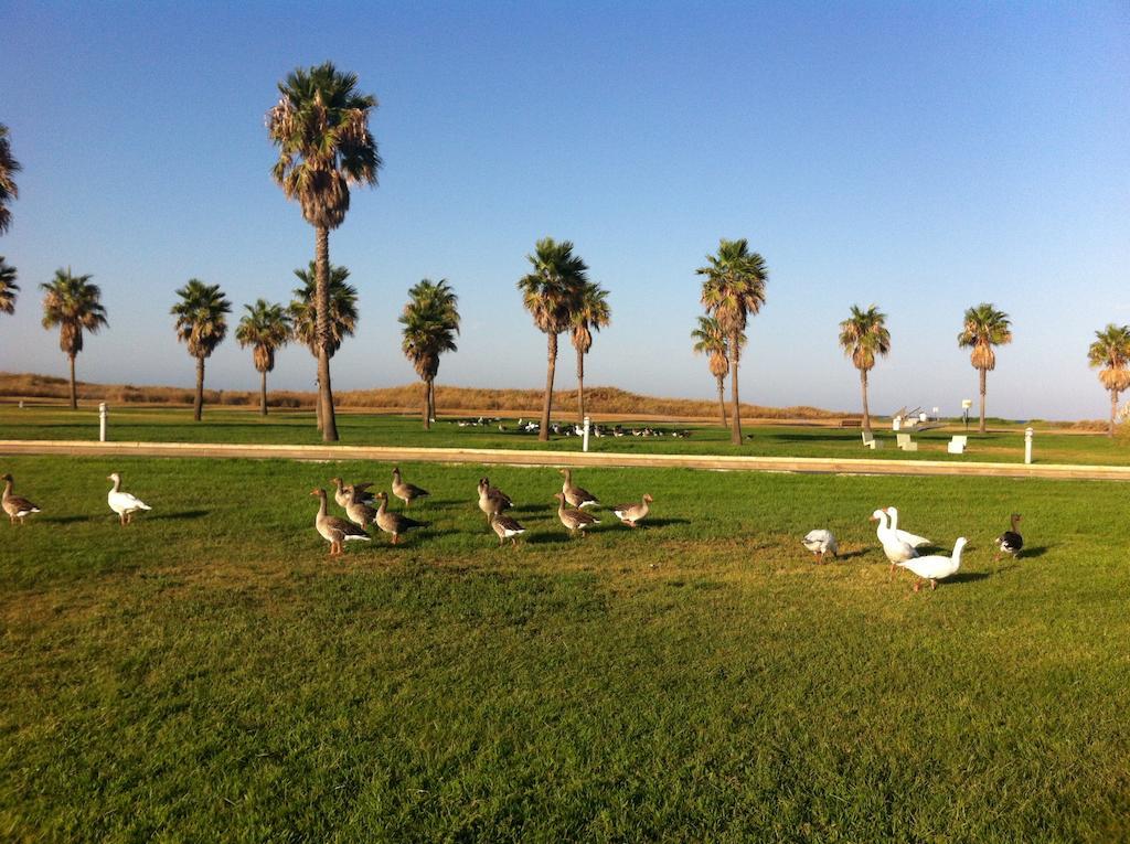 Life Apartments Costa Ballena Dış mekan fotoğraf